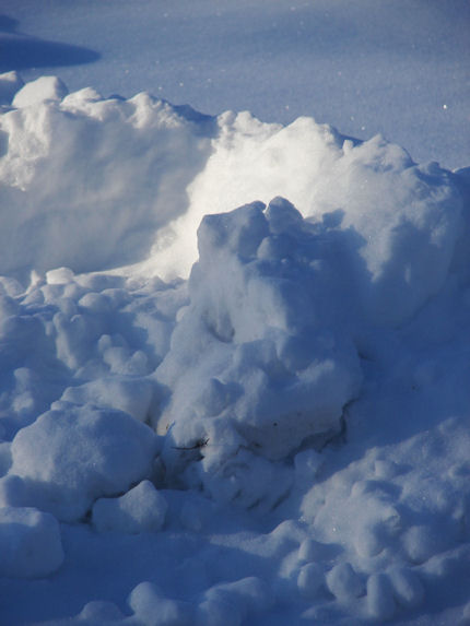 Faces in the Snow by Thomas R Hall